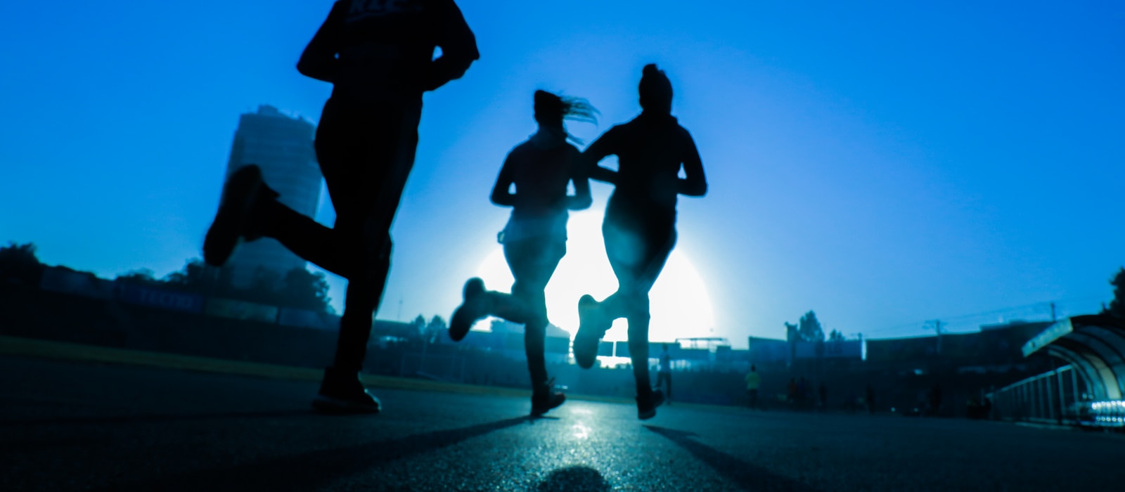 xc体育 体育营销策划